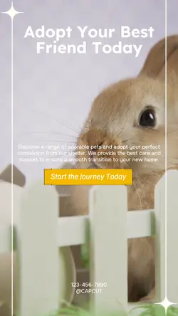 Pet industry General