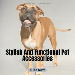 Pet industry Effect Display