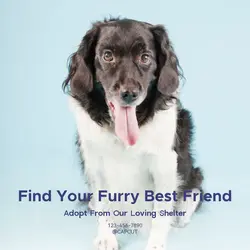 Pet industry General