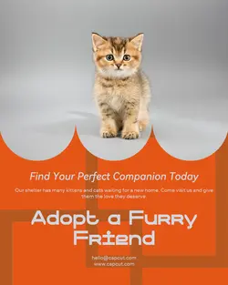 Pet industry General