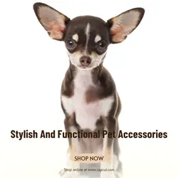 Pet industry Effect Display
