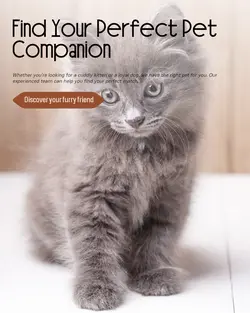 Pet industry General