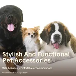 Pet industry Effect Display