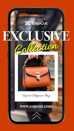 Fashion Woman HandBag Product Display Exclusive Collection Instagram Story