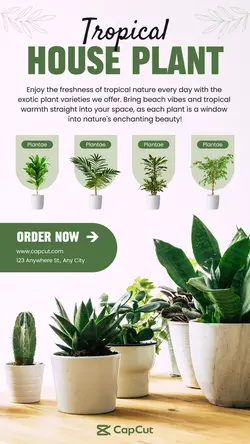 Household Tropical House Plant Instagram Story