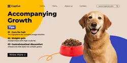 Pet supplies Personal sharing show simple style
