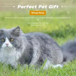 Pet industry Gift