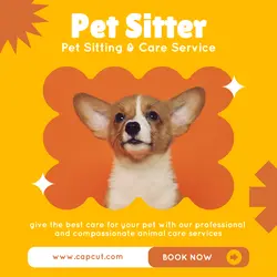 Pet Service Promotion Instagram Post