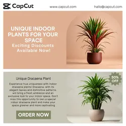 Household Accessories Plant Sales Promotion Instagram Post