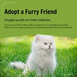 Pet industry General