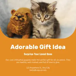 Pet industry Gift
