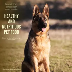 Pet industry Effect Display