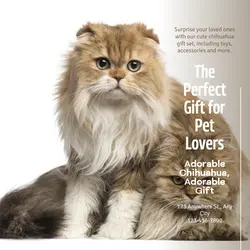 Pet industry Gift