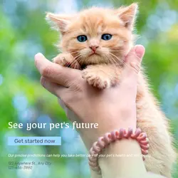 Pet industry Forecast