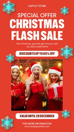 Clothing Fashion Flash Sale Instagram Story