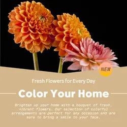 Home decor General