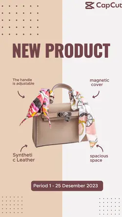 Fashion Industry Bag Woman Display Instagram Story