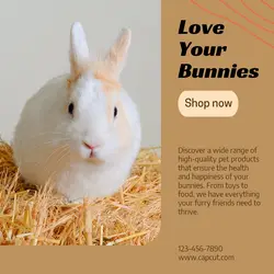 Pet industry General