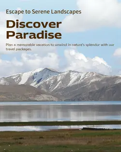 Travel industry General