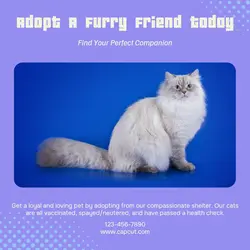 Pet industry General