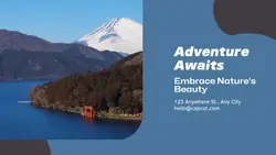 Travel industry General