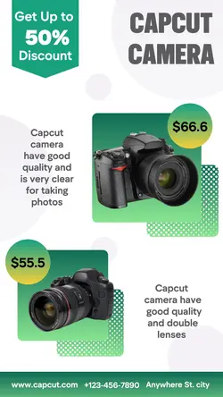 Electronic Camera Discount Business