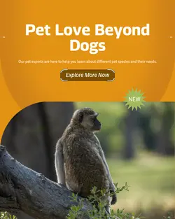 Pet industry General