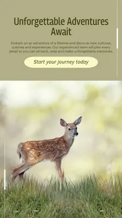 Travel industry General
