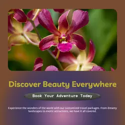Travel industry General