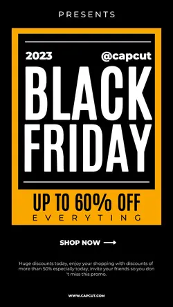 Black Friday Instagram Story