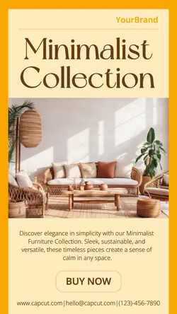 Furniture Promotion Instagram Stories