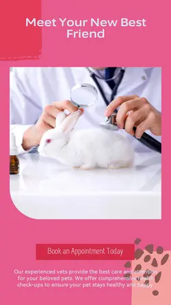 Pet industry Personal introduction