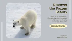 Travel industry General