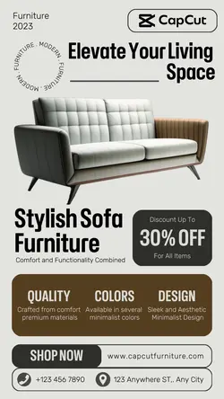 Stylish Sofa Furniture Promotion Instagram Story