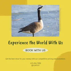 Travel industry Business