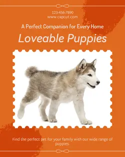 Pet industry General