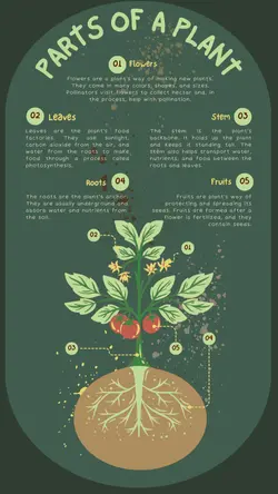 Non-marketing Infographics