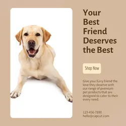 Pet industry General