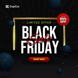 Black Friday SALE Advertisement - Instagram Post - Social Media