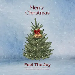 Merry Christmas Greetings Linkedin Post