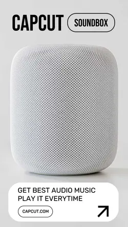 Grey Minimalist Speaker Display Story