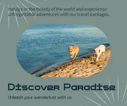 Travel industry General