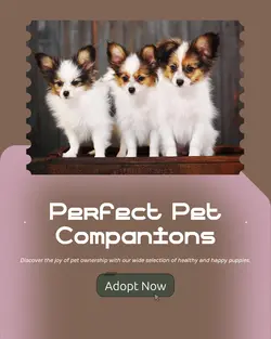 Pet industry General