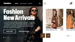 Modern UI Woman Fashion Store Website