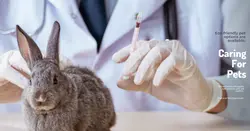 Pet industry Product Display