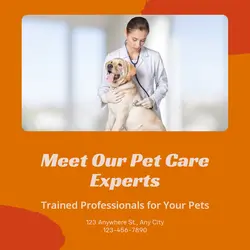 Pet industry Team introduction
