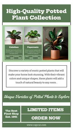 Household Accessories  Product Display Pottet Plant Instagram Story