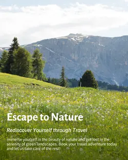 Travel industry General