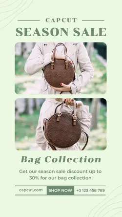 Fashion Women Bag Promotion Instagram Story