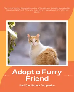 Pet industry General